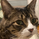 avatar ScruffScruff (36)