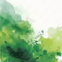 therealevergreen