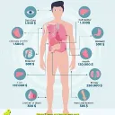 shecalme.n_77212 avatar