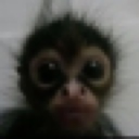 avatar Mr.E