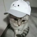 pivasik._1337