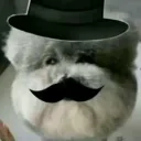rydog2