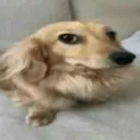 maikusgamesoff