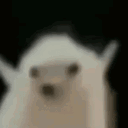 jomoco