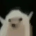 jomoco