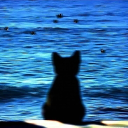 396306652909's Avatar