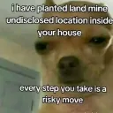 dominic050983 avatar