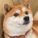 @p