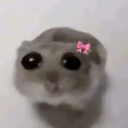 8947437
