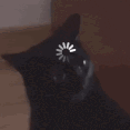 patrickdoodoohead2