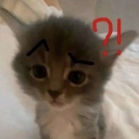 avatar 𝔞𝔩𝔞𝔫𝔦