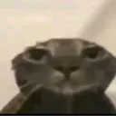 dr1ft3dd