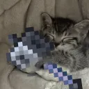 skippynugget