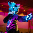 avatar 𝒮𝒽𝒶𝓈𝓉𝒶 𝒲𝒾𝓃𝓉𝑒𝓇𝓅𝒶𝓌