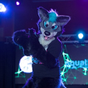 avatar ❄Shasta Winterpaw🐾