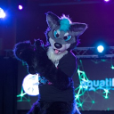 avatar ❄Shasta Winterpaw🐾