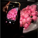 avatar yane nerv nicht