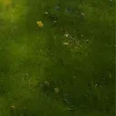 novixttv