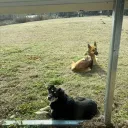 mellyb2003_59704 avatar