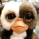 sensigizmo