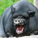 Аватар idivnurik_14101