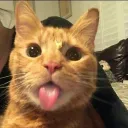 gustiww_