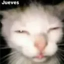 cyber_qs