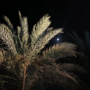 5K | مستشار الأخلاق