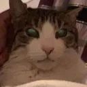 bmhbunn