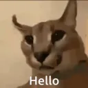 hxtnv