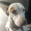 luisalberto_12 avatar