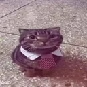 sosozadas
