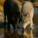 xmaxv3pro_06506's Avatar