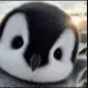 chexgtt avatar