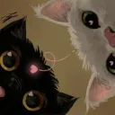 lim_234 avatar