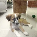 angel_tv0374_90535 avatar