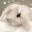 itzboypie.