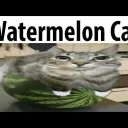 gggggggggggtfxdf33 avatar