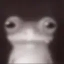 _snnowzzk_