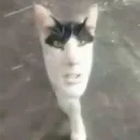 juanflas