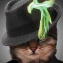 tripieboss