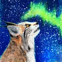 .mordecai