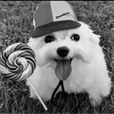 pedro_snatana