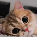 xtony_4