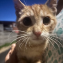 avatar 🧡𝐏𝐚𝐭𝐫𝐲𝐜𝐣𝐚🧡