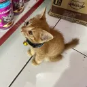 nfakhere_12958 avatar