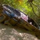 dustycarwreck