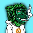 highmonkey.