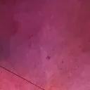 fiverello