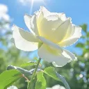 silentsoul0s